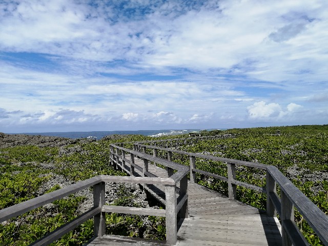 f:id:haurharu:20231119183243j:image