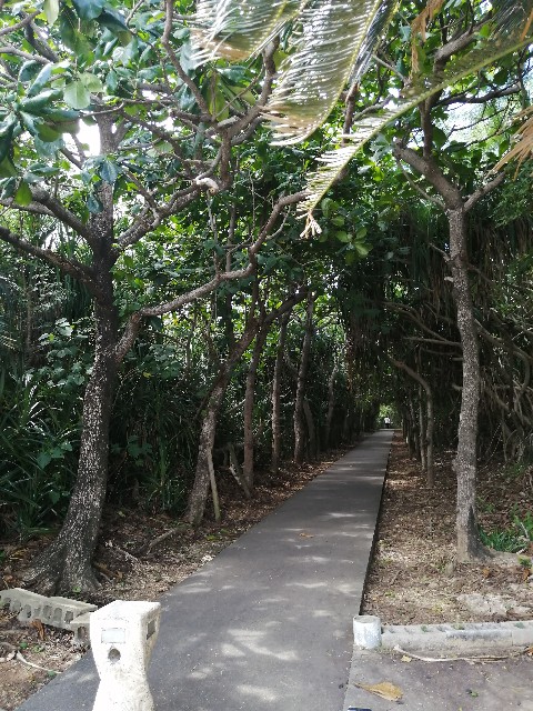 f:id:haurharu:20231119192941j:image