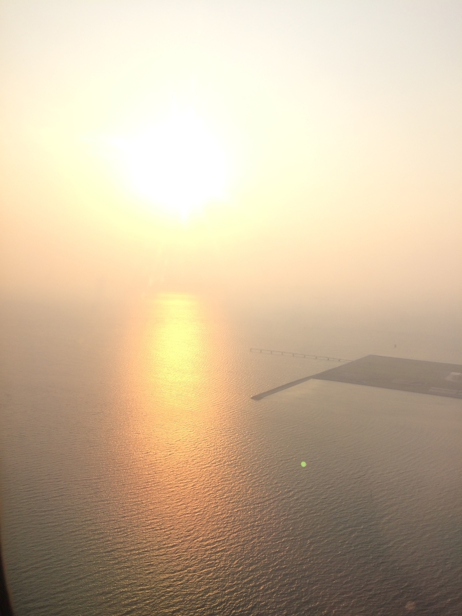 f:id:havealight:20200508135902j:plain f:id:havealight:20200508135902j:plain