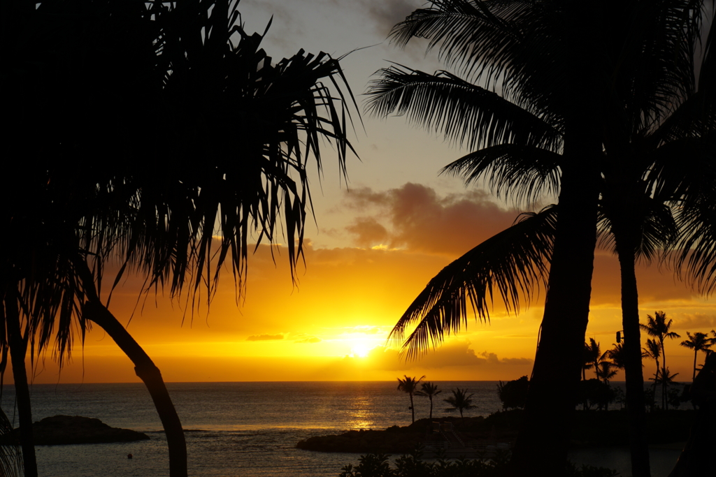 f:id:hawaii007:20161116183044j:plain f:id:hawaii007:20161116183044j:plain
