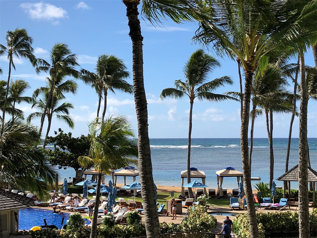 f:id:hawaii881:20180910094531j:image f:id:hawaii881:20180910094531j:image