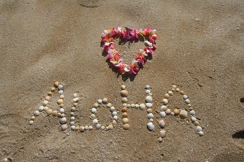 f:id:hawaii881:20191025131526j:plain f:id:hawaii881:20191025131526j:plain