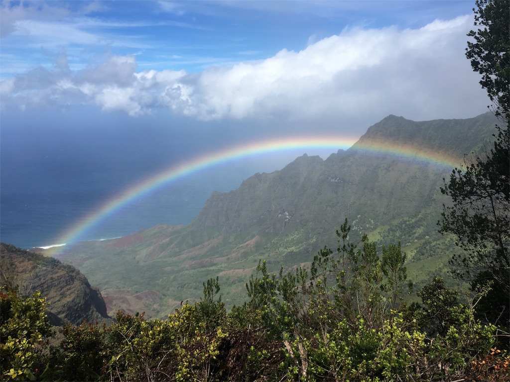 f:id:hawaii_chuzai:20171129015313j:image f:id:hawaii_chuzai:20171129015313j:image