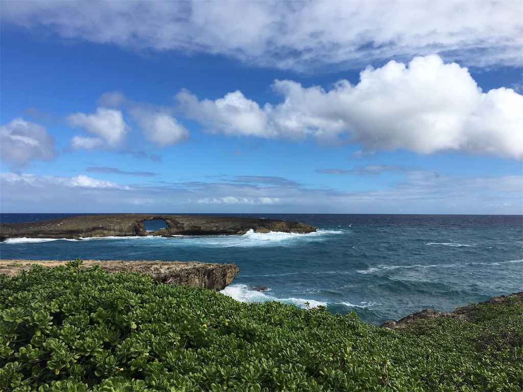 f:id:hawaii_chuzai:20180111210143j:image f:id:hawaii_chuzai:20180111210143j:image