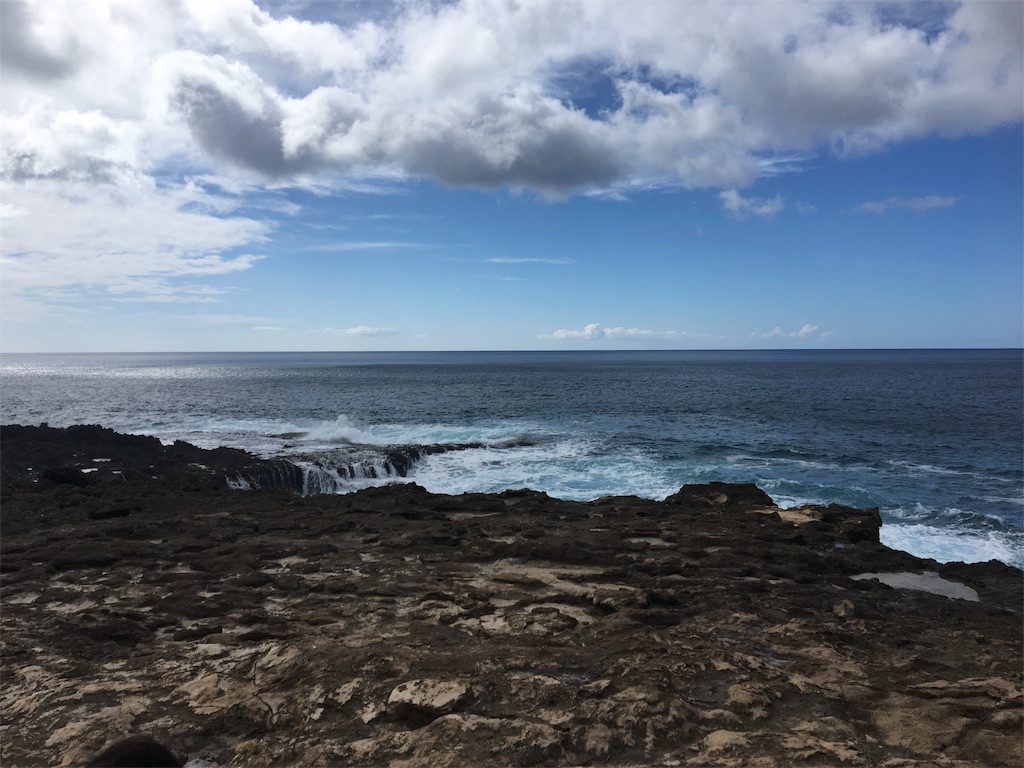 f:id:hawaii_chuzai:20180131052639j:image f:id:hawaii_chuzai:20180131052639j:image