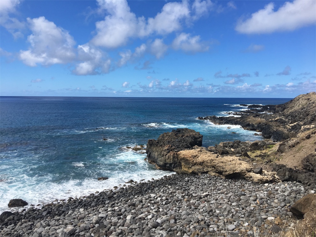f:id:hawaii_chuzai:20180131052706j:image f:id:hawaii_chuzai:20180131052706j:image