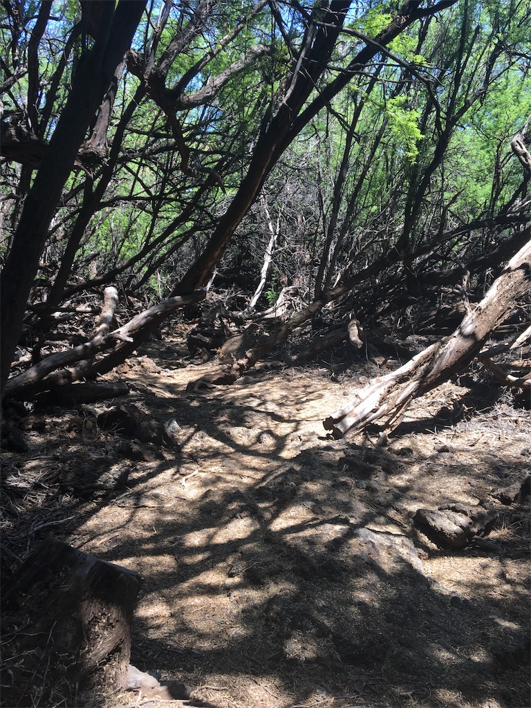 f:id:hawaii_chuzai:20180927025839j:image f:id:hawaii_chuzai:20180927025839j:image