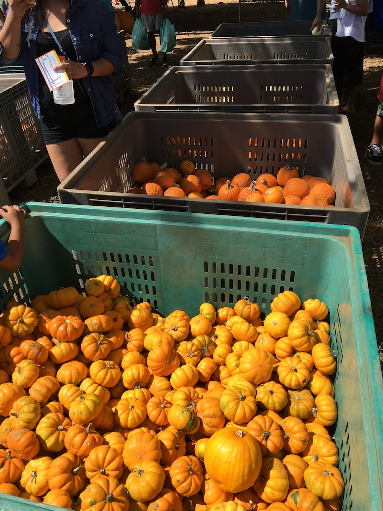 f:id:hawaii_chuzai:20181025013906j:image f:id:hawaii_chuzai:20181025013906j:image