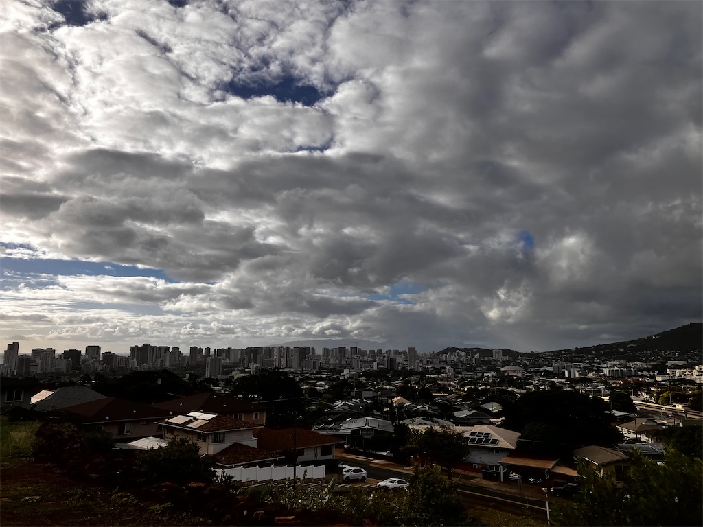 f:id:hawaii_chuzai:20241112141319j:image f:id:hawaii_chuzai:20241112141319j:image