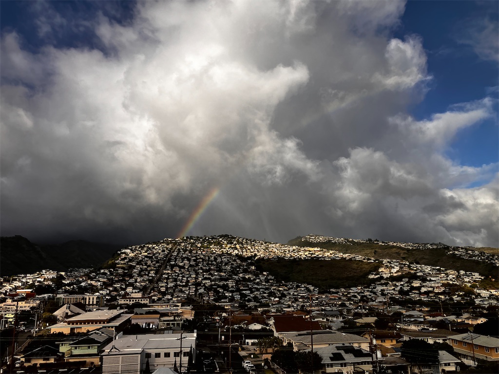 f:id:hawaii_chuzai:20241112141436j:image f:id:hawaii_chuzai:20241112141436j:image