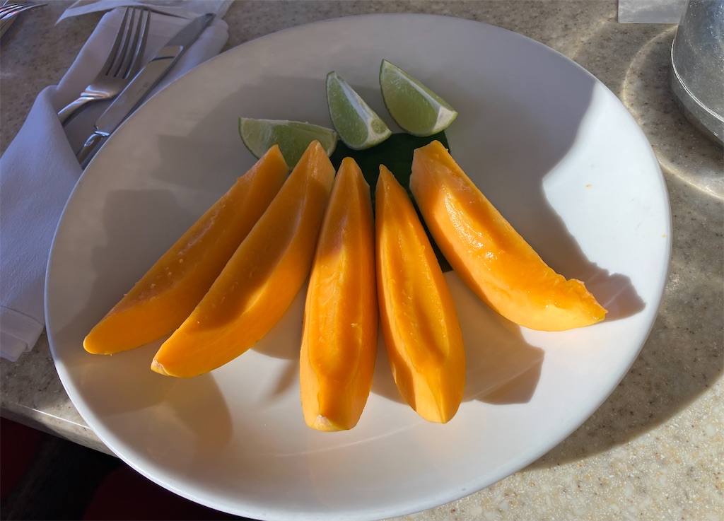 f:id:hawaii_chuzai:20241214090457j:image f:id:hawaii_chuzai:20241214090457j:image
