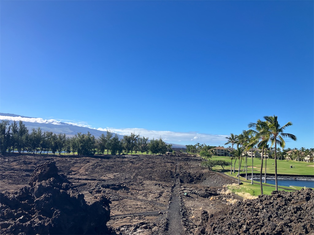 f:id:hawaii_chuzai:20250220085548j:image f:id:hawaii_chuzai:20250220085548j:image