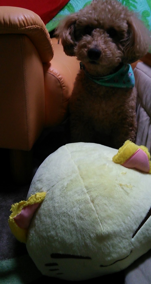 f:id:hawaiianquiltsai:20190606095102j:plain f:id:hawaiianquiltsai:20190606095102j:plain