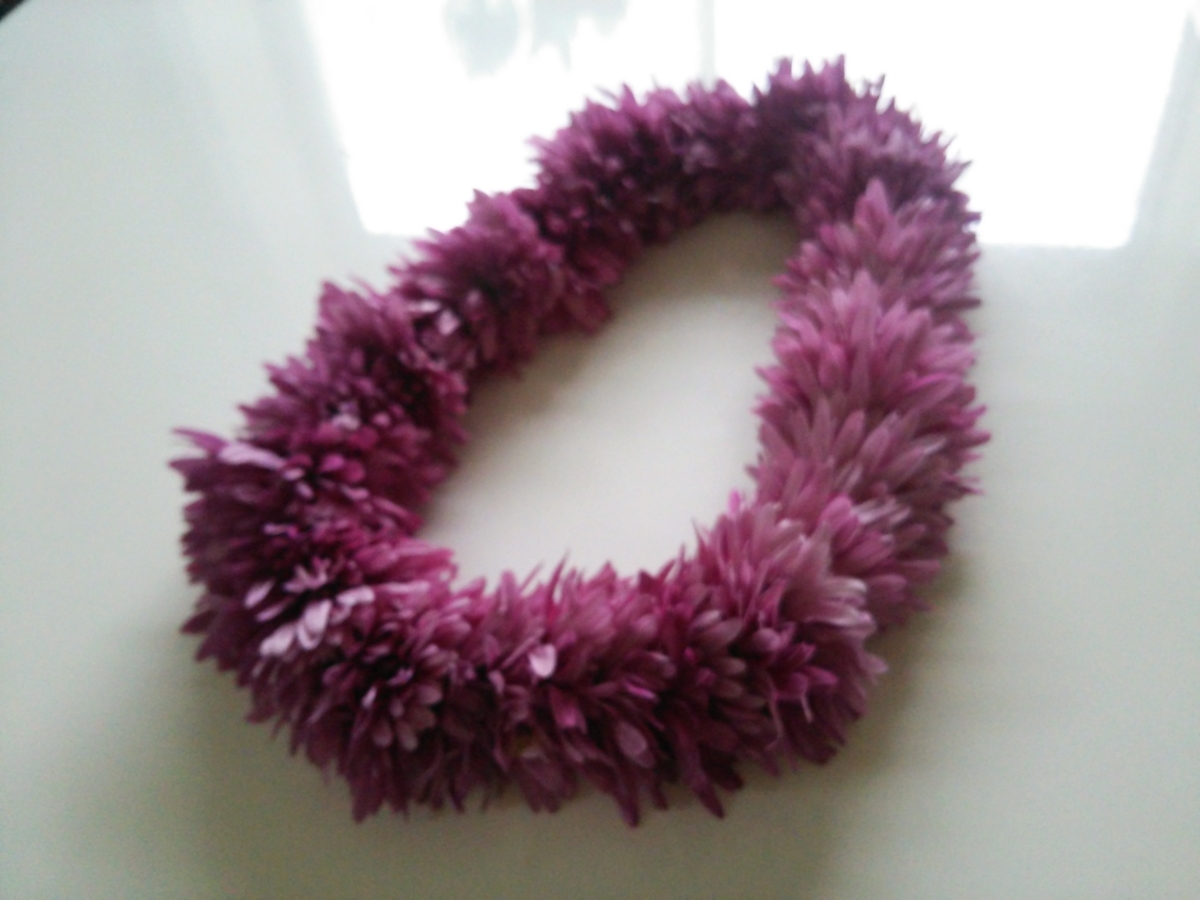 f:id:hawaiianquiltsai:20191106092341j:plain f:id:hawaiianquiltsai:20191106092341j:plain