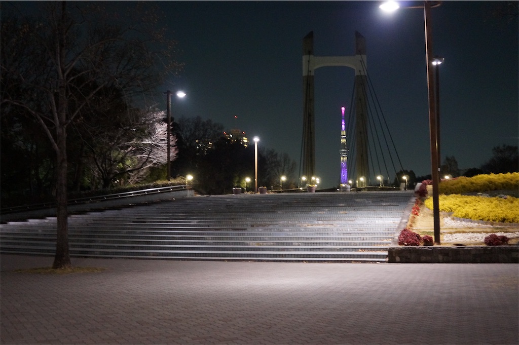 f:id:hawaiiansix:20240113001751j:image