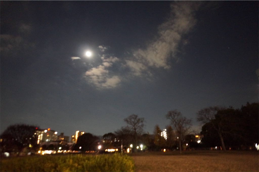 f:id:hawaiiansix:20240113001801j:image