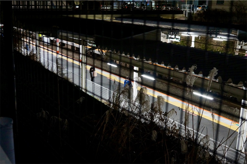 f:id:hawaiiansix:20240113203121j:image