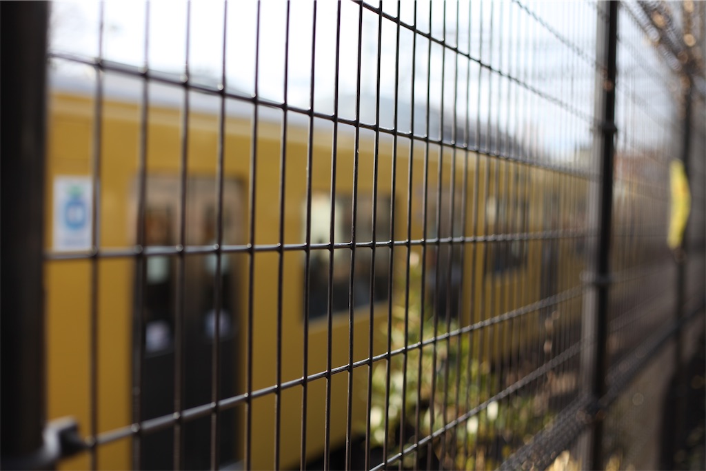 f:id:hawaiiansix:20250221185934j:image