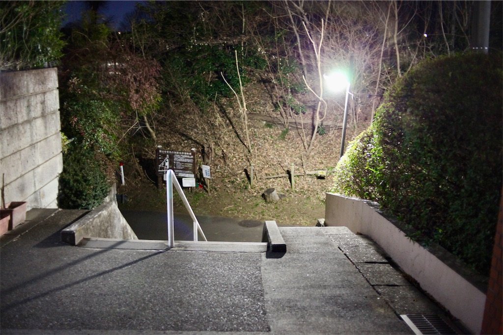 f:id:hawaiiansix:20250308013035j:image