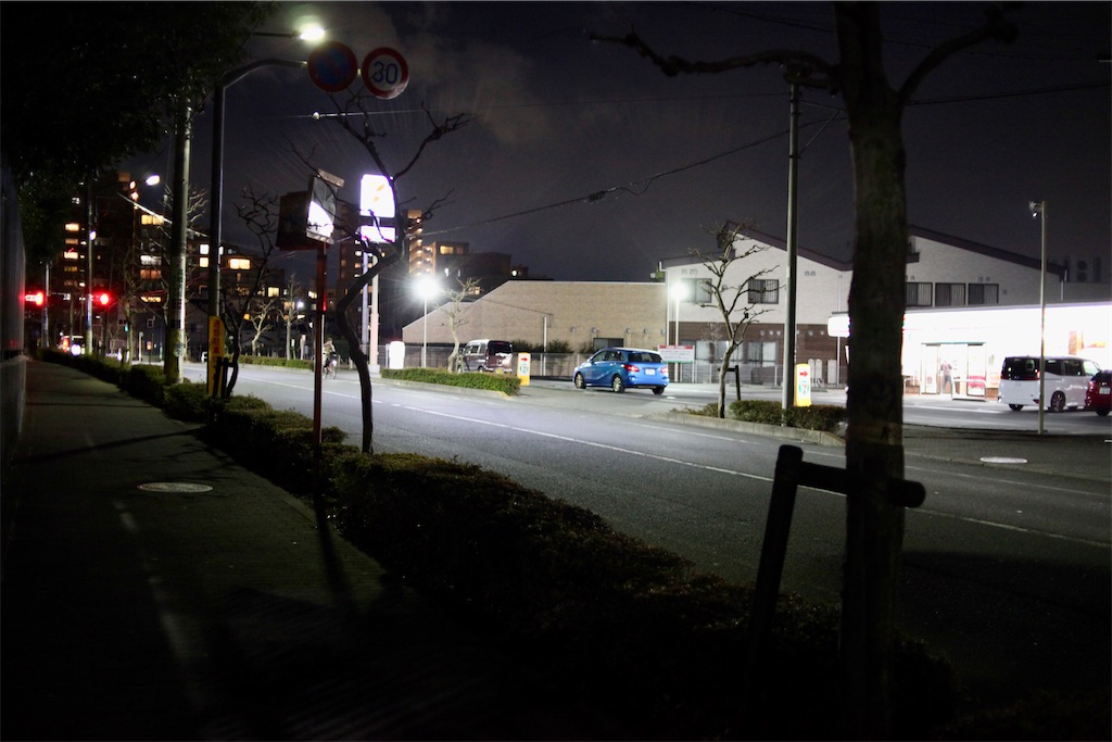 f:id:hawaiiansix:20250308013930j:image