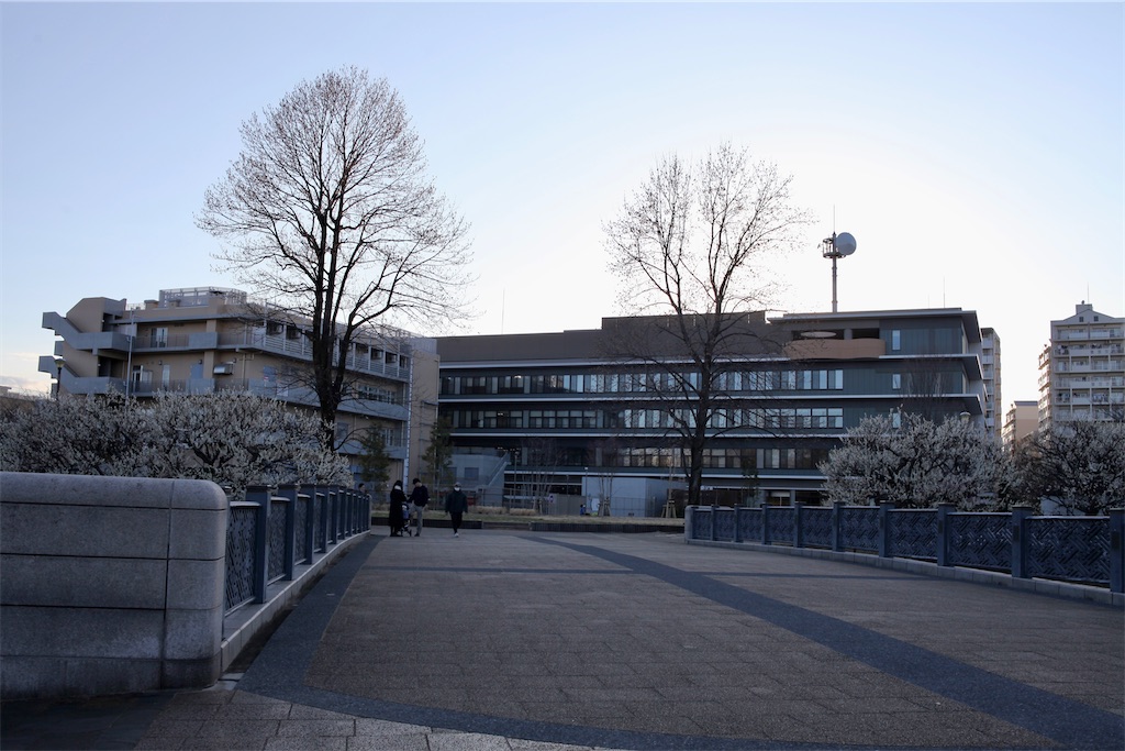 f:id:hawaiiansix:20250417230305j:image