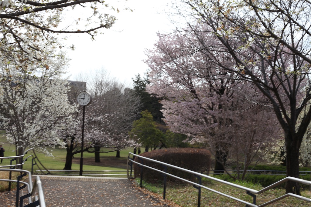 f:id:hawaiiansix:20250417230321j:image