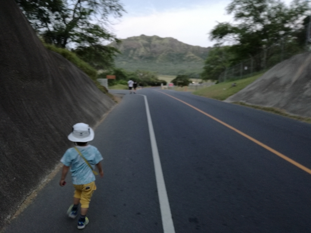 f:id:hawaiiflyer:20180526164950j:plain