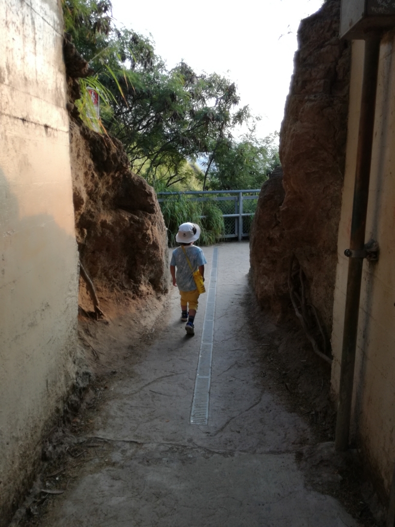 f:id:hawaiiflyer:20180526170233j:plain