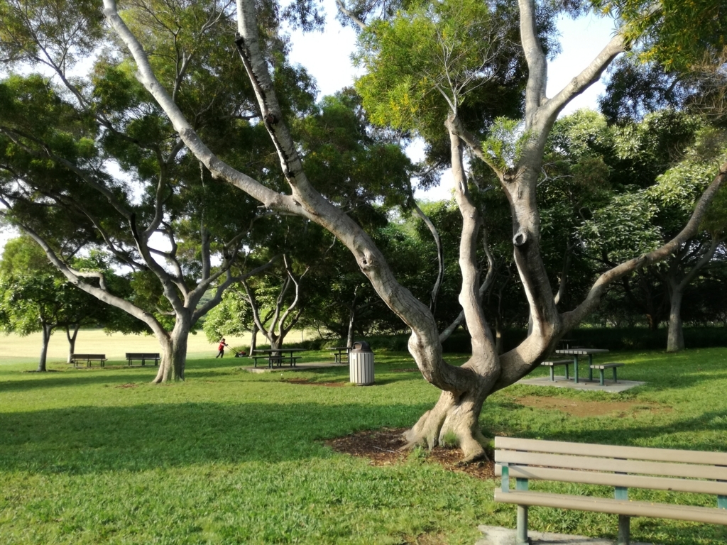 f:id:hawaiiflyer:20180526171835j:plain