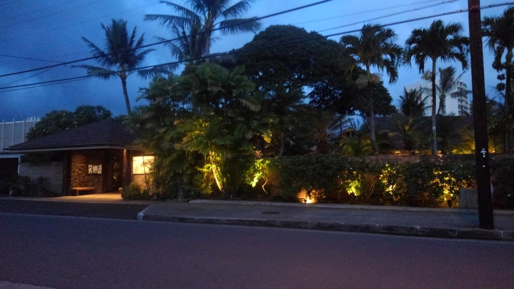 f:id:hawaiiphotogallery:20190216100330j:plain