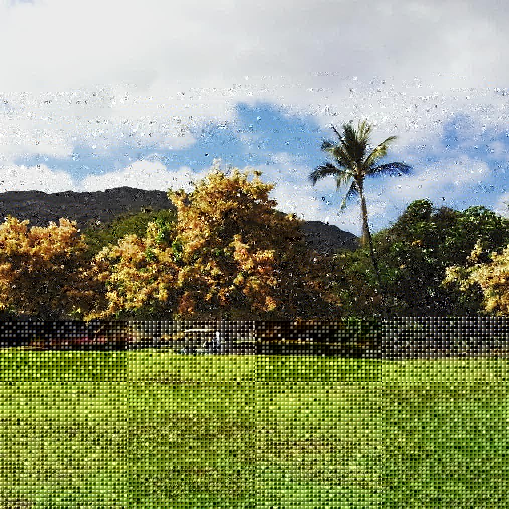 f:id:hawaiiphotogallery:20190216122528j:plain