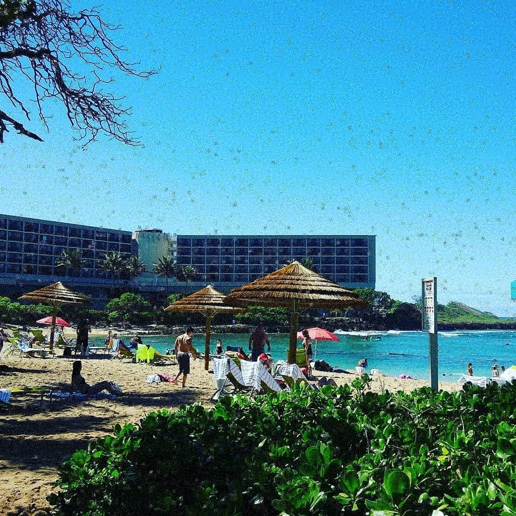 f:id:hawaiiphotogallery:20190216164938j:plain