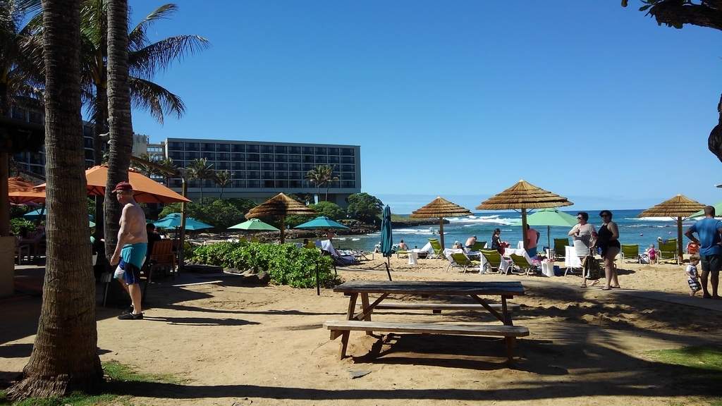 f:id:hawaiiphotogallery:20190217114259j:plain