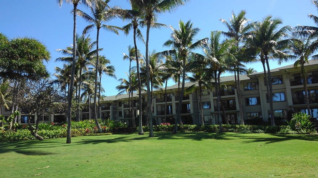 f:id:hawaiiphotogallery:20190217114500j:plain