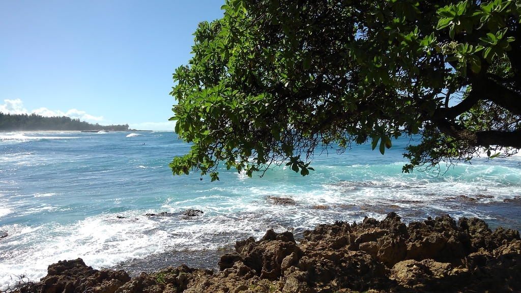 f:id:hawaiiphotogallery:20190217114720j:plain