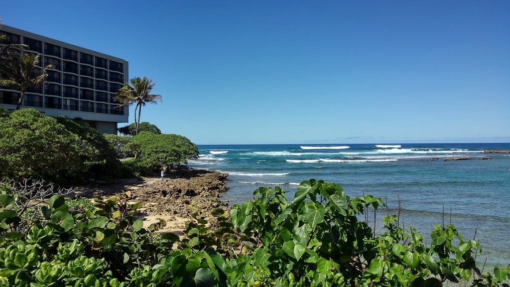 f:id:hawaiiphotogallery:20190217114834j:plain