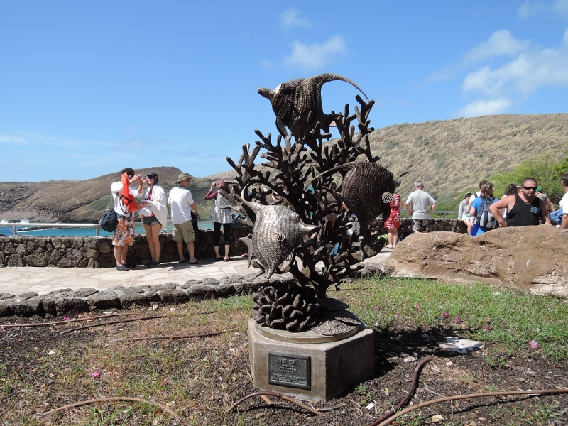 f:id:hawaiira-men:20190311203553j:plain f:id:hawaiira-men:20190311203553j:plain