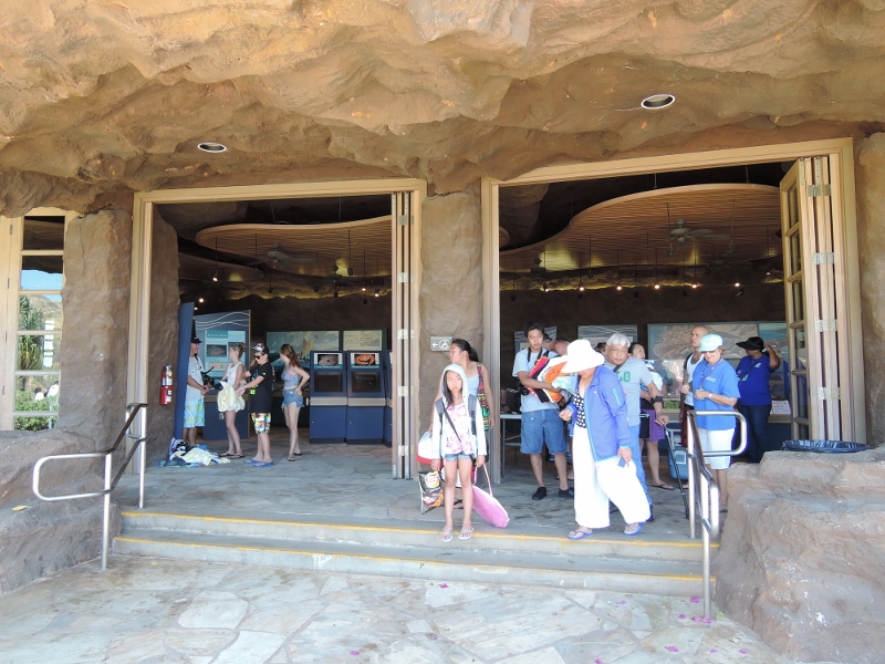 f:id:hawaiira-men:20190311203645j:plain f:id:hawaiira-men:20190311203645j:plain