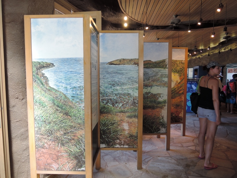 f:id:hawaiira-men:20190311203716j:plain f:id:hawaiira-men:20190311203716j:plain