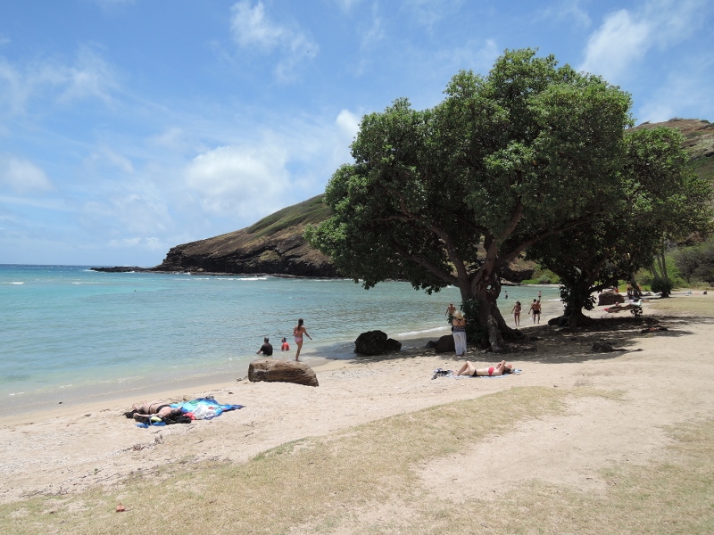 f:id:hawaiira-men:20190311203935j:plain f:id:hawaiira-men:20190311203935j:plain