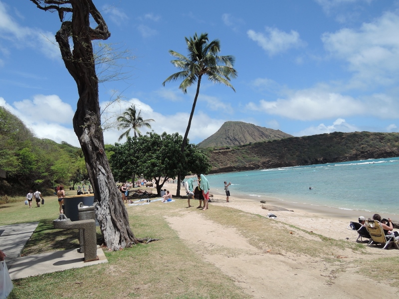 f:id:hawaiira-men:20190311204008j:plain f:id:hawaiira-men:20190311204008j:plain