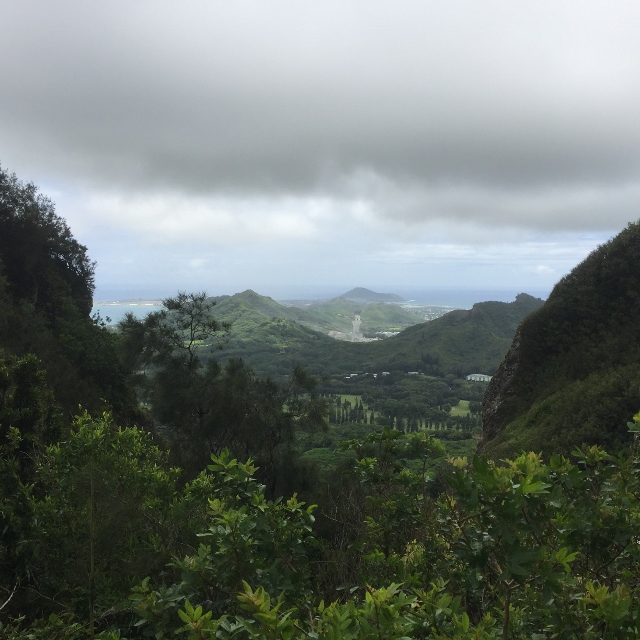 f:id:hawaiira-men:20190314104112j:plain f:id:hawaiira-men:20190314104112j:plain