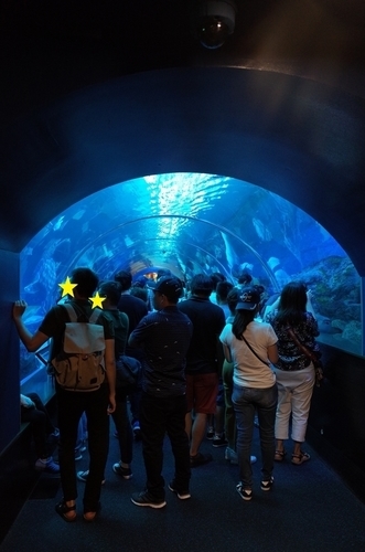 f:id:hawaiira-men:20190731215338j:plain f:id:hawaiira-men:20190731215338j:plain