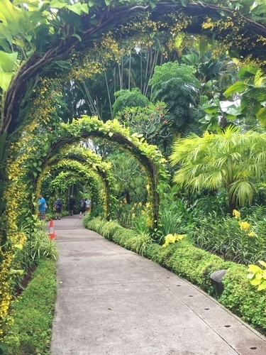 f:id:hawaiira-men:20190731233819j:plain f:id:hawaiira-men:20190731233819j:plain