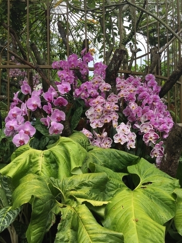 f:id:hawaiira-men:20190731233943j:plain f:id:hawaiira-men:20190731233943j:plain