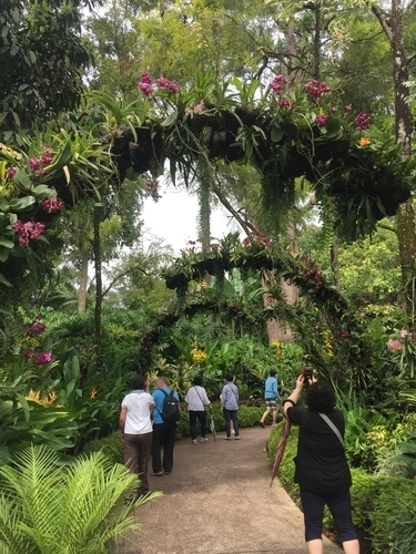 f:id:hawaiira-men:20190731234015j:plain f:id:hawaiira-men:20190731234015j:plain