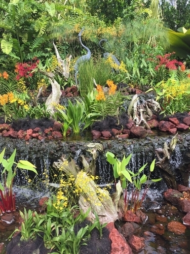 f:id:hawaiira-men:20190731234029j:plain f:id:hawaiira-men:20190731234029j:plain