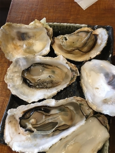 f:id:hawaiira-men:20190921113451j:plain f:id:hawaiira-men:20190921113451j:plain