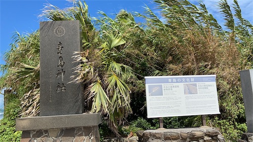 f:id:hawaiira-men:20201124104501j:image