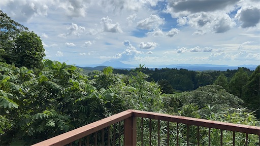 f:id:hawaiira-men:20201124105227j:image